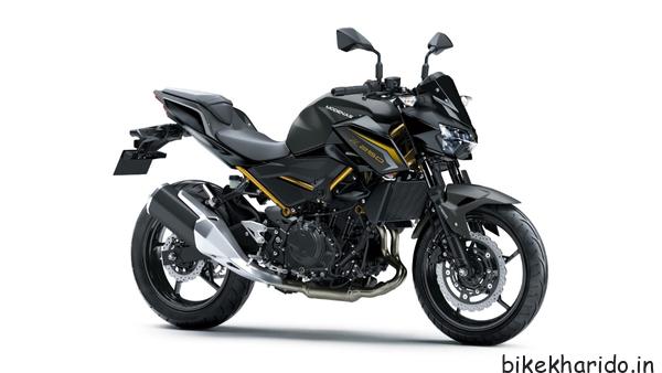 Kawasaki Z250 2026 model side view